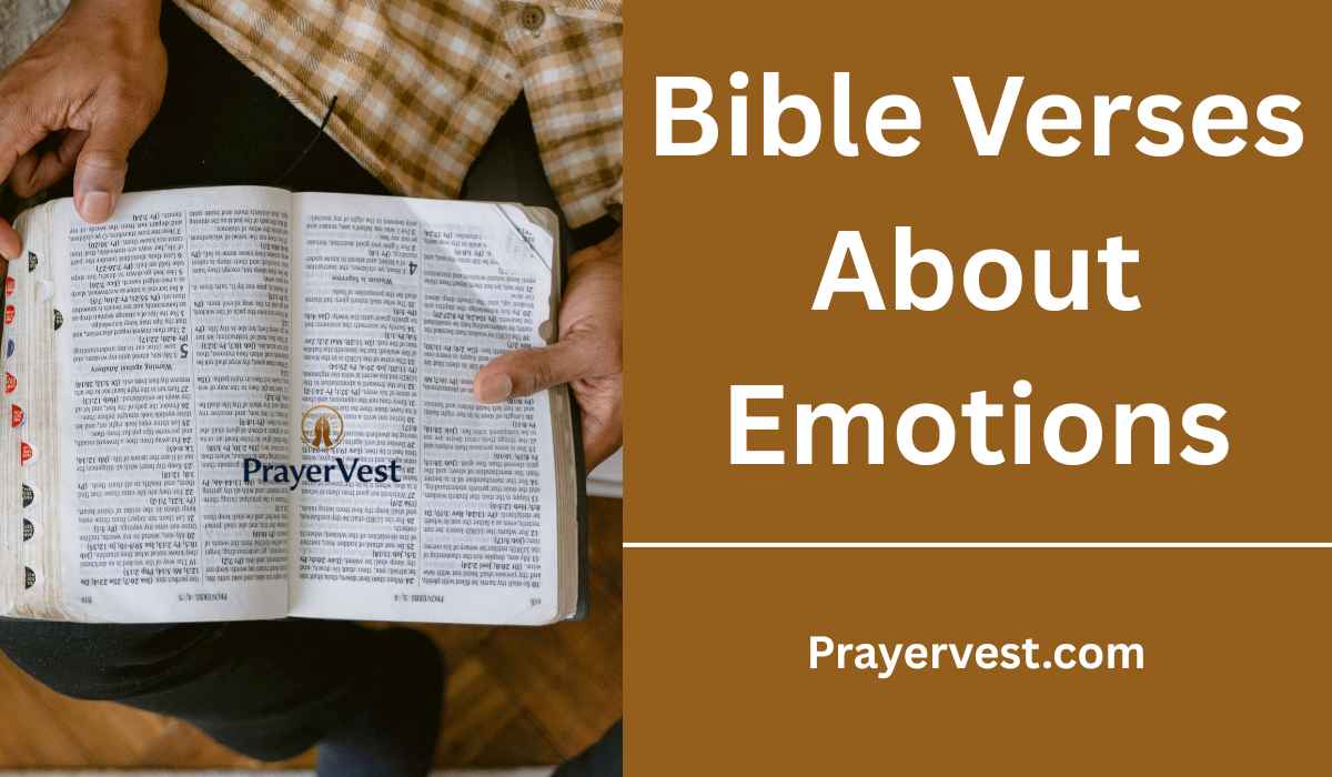 Bible Verses About Emotions