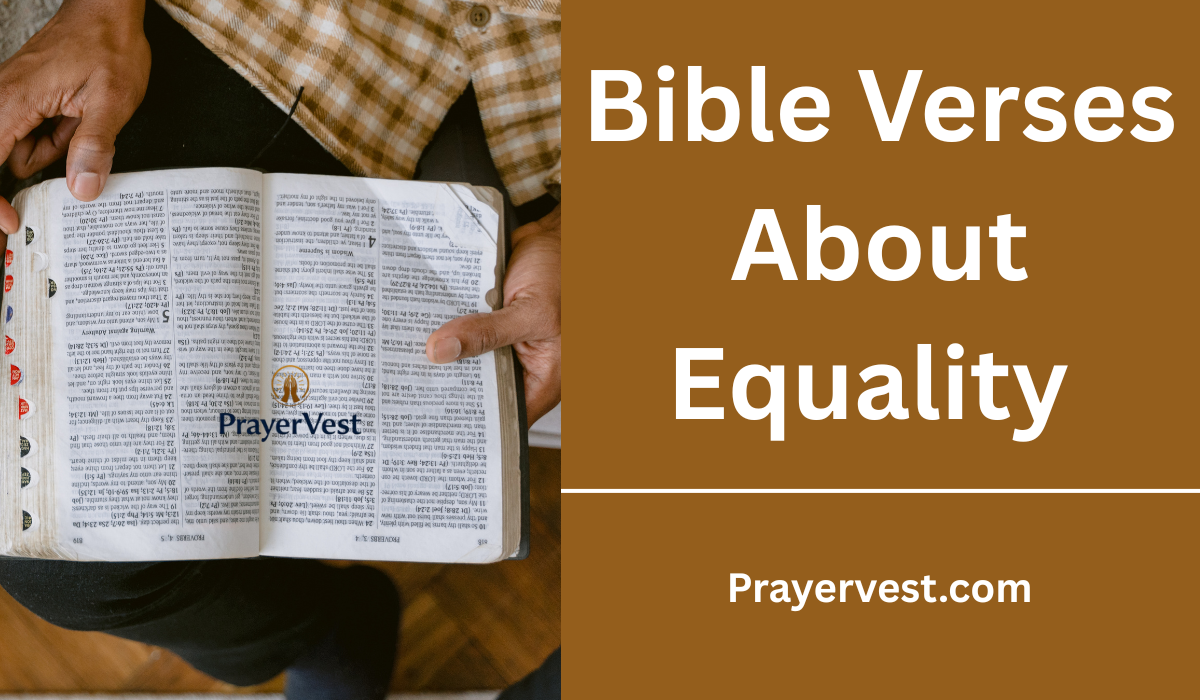 Bible Verses About Equality