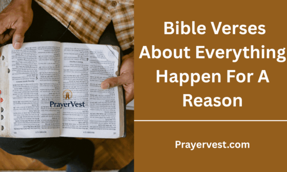 Bible Verses About Everything Happen For A Reason
