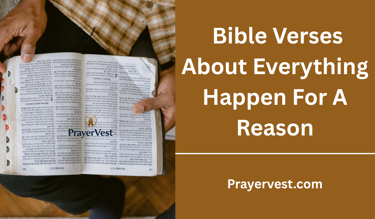 Bible Verses About Everything Happen For A Reason