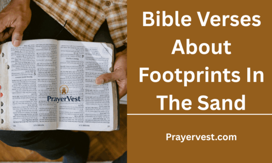 Bible Verses About Footprints In The Sand