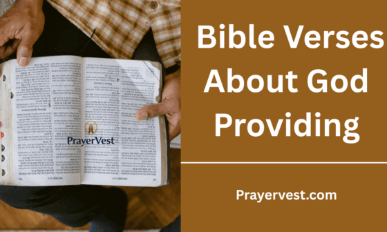 Bible Verses About God Providing
