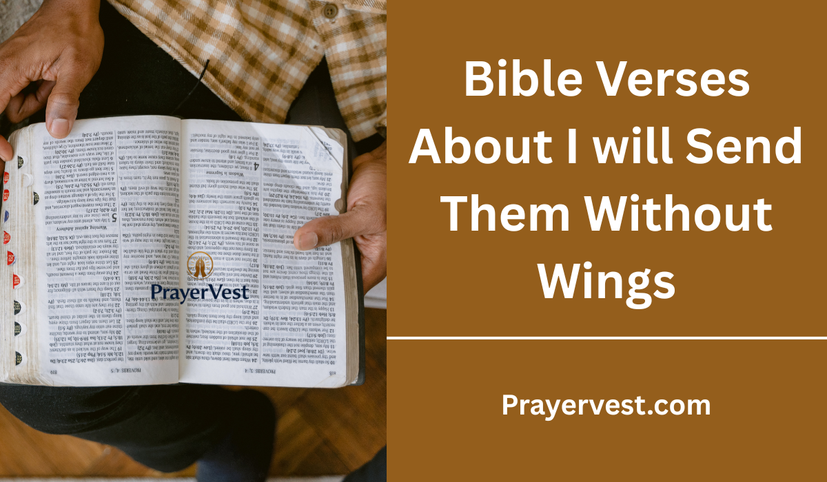 Bible Verses About I will Send Them Without Wings