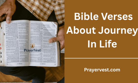 Bible Verses About Journey In Life