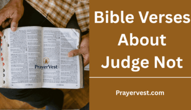 Bible Verses About Judge Not