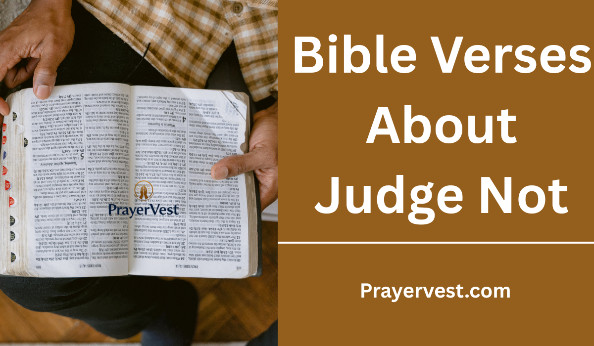Bible Verses About Judge Not