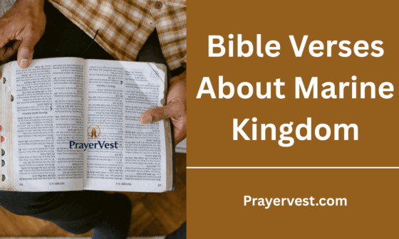 Bible Verses About Marine Kingdom