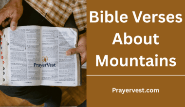 Bible Verses About Mountains