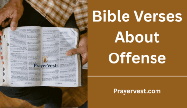 Bible Verses About Offense
