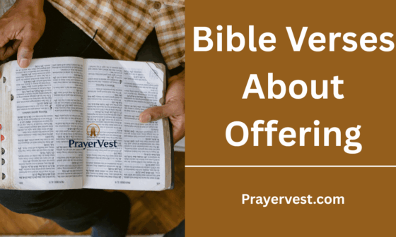 Bible Verses About Offering