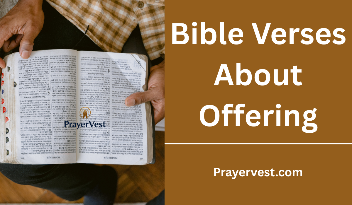 Bible Verses About Offering