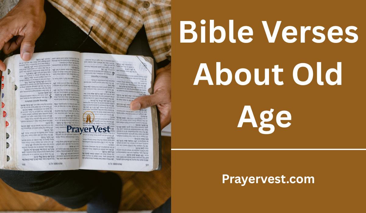Bible Verses About Old Age 