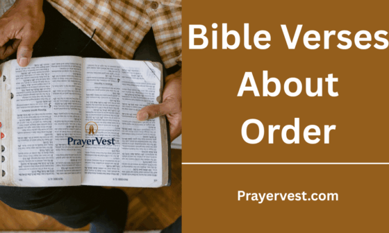 Bible Verses About Order