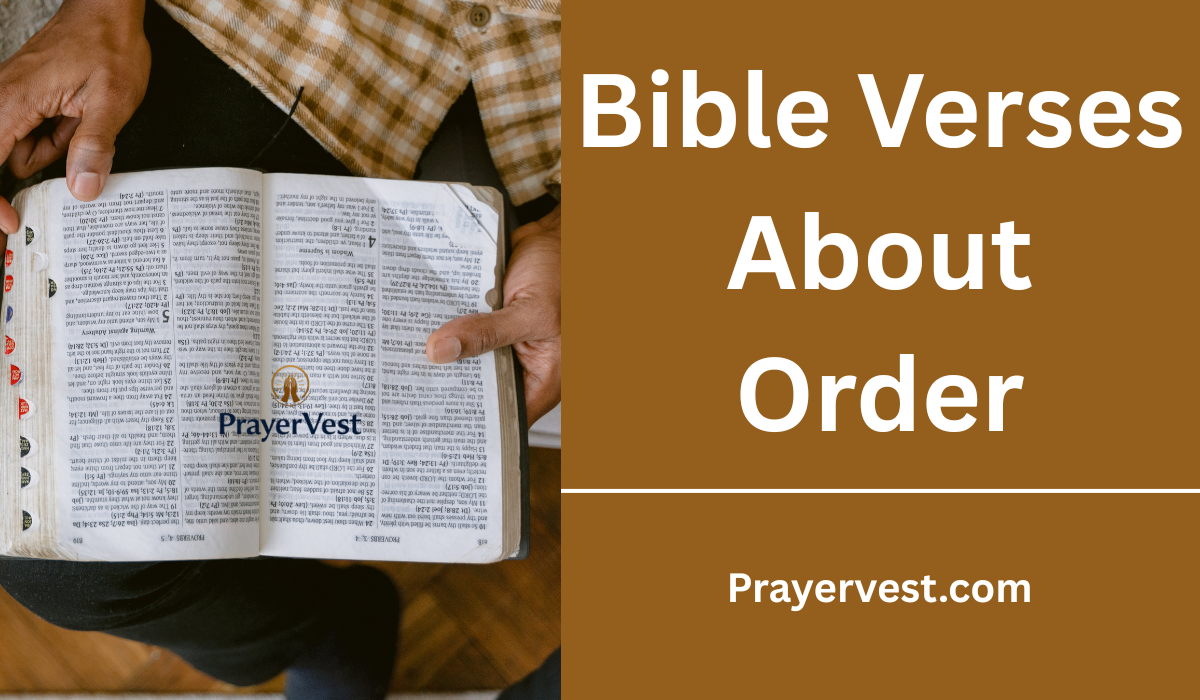 Bible Verses About Order