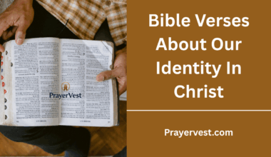 Bible Verses About Our Identity In Christ