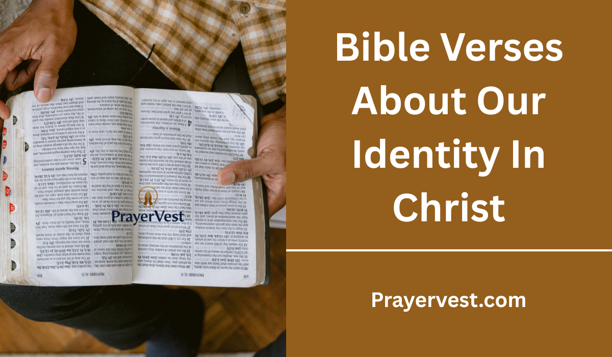 Bible Verses About Our Identity In Christ