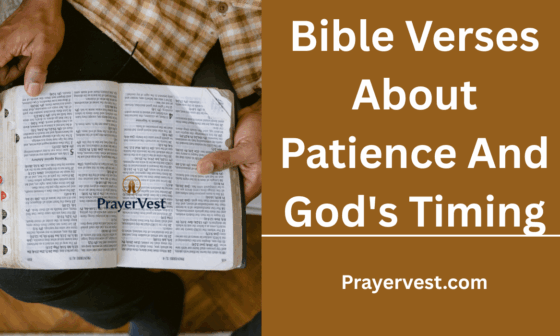 Bible Verses About Patience And God's Timing