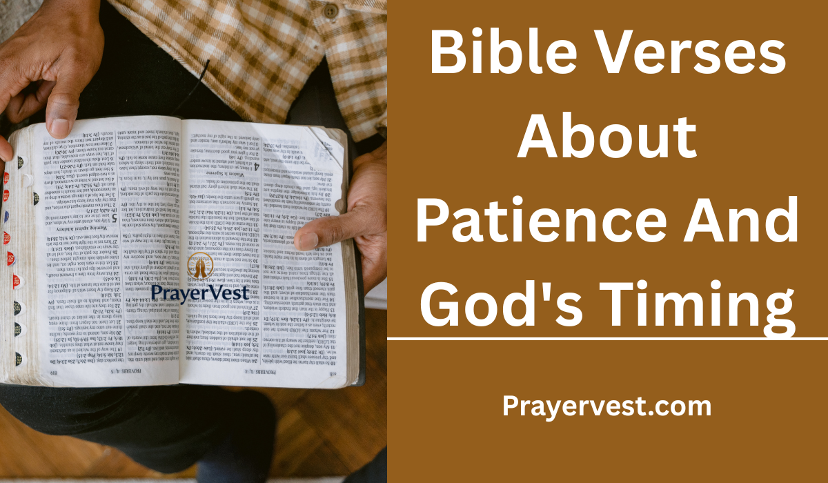 Bible Verses About Patience And God's Timing