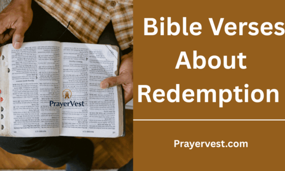 Bible Verses About Redemption