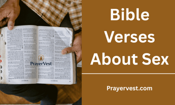 Bible Verses About Sex
