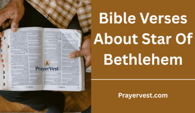 Bible Verses About Star Of Bethlehem