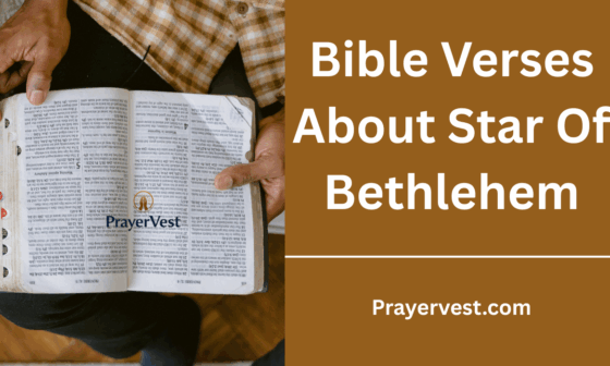 Bible Verses About Star Of Bethlehem