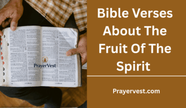 Bible Verses About The Fruit Of The Spirit