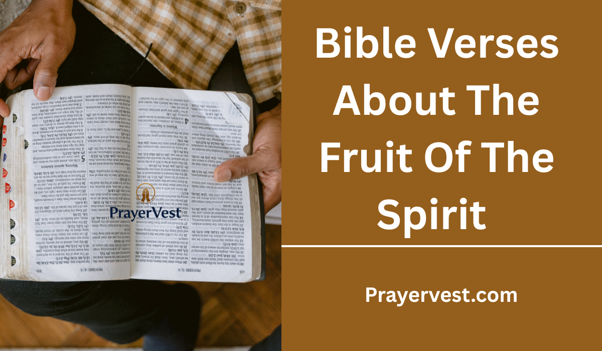 Bible Verses About The Fruit Of The Spirit