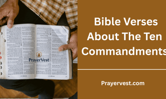 Bible Verses About The Ten Commandments