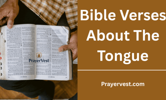 Bible Verses About The Tongue