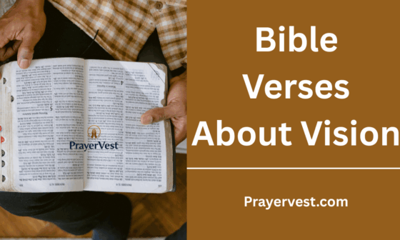 Bible Verses About Vision