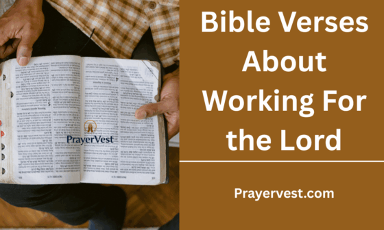 Bible Verses About Working For the Lord