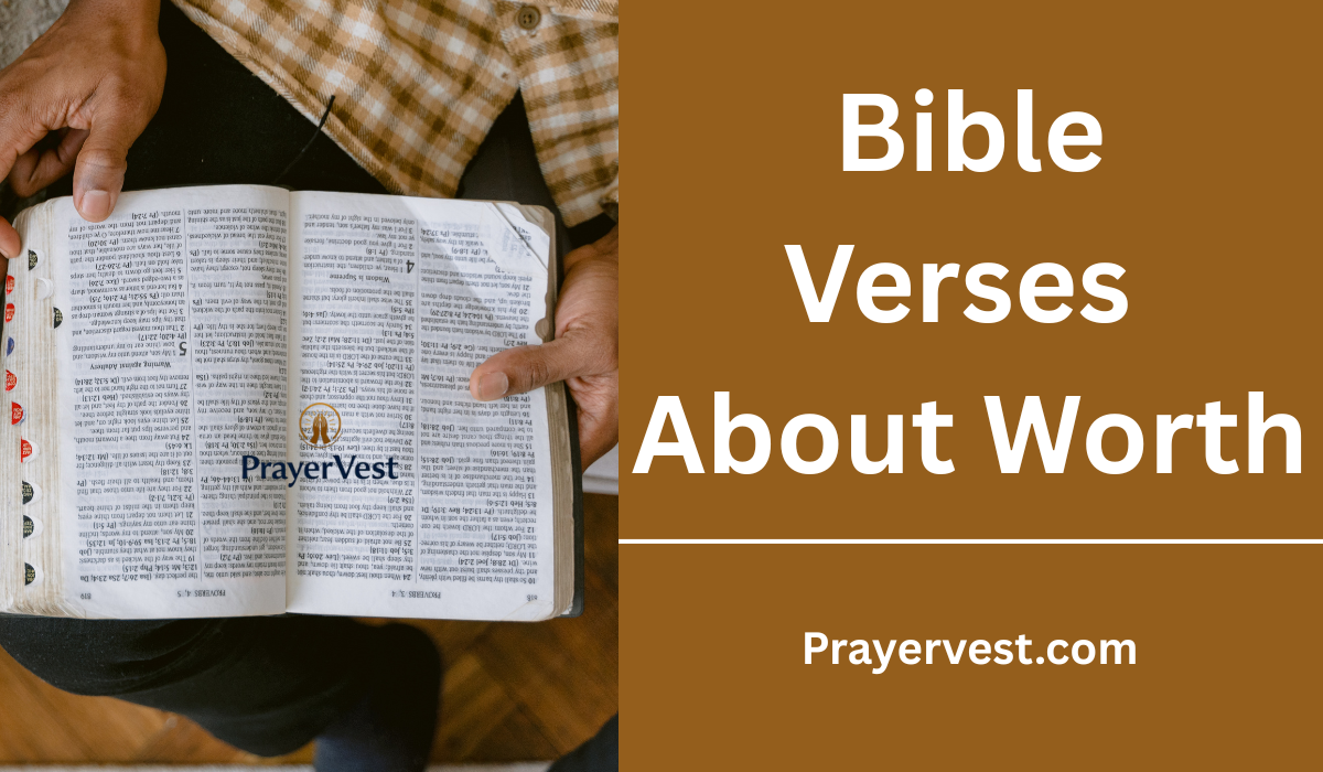 Bible Verses About Worth