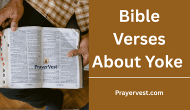 Bible Verses About Yoke