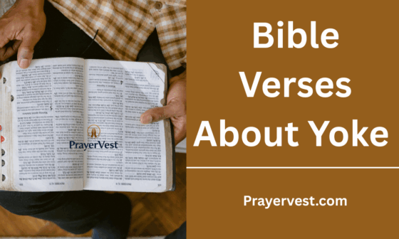 Bible Verses About Yoke