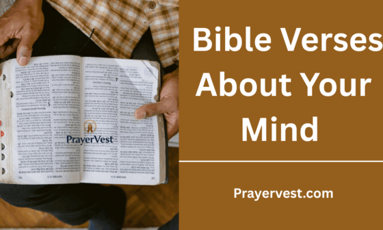 Bible Verses About Your Mind