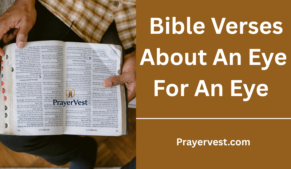 Bible Verses About An Eye For An Eye
