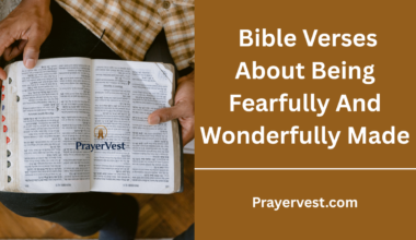 Bible Verses About Being Fearfully And Wonderfully Made