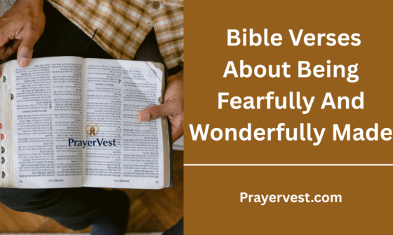 Bible Verses About Being Fearfully And Wonderfully Made