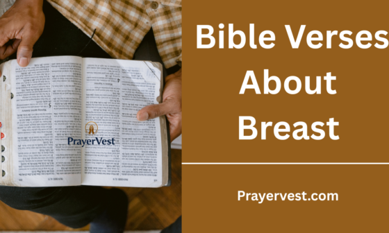 Bible Verses About Breast