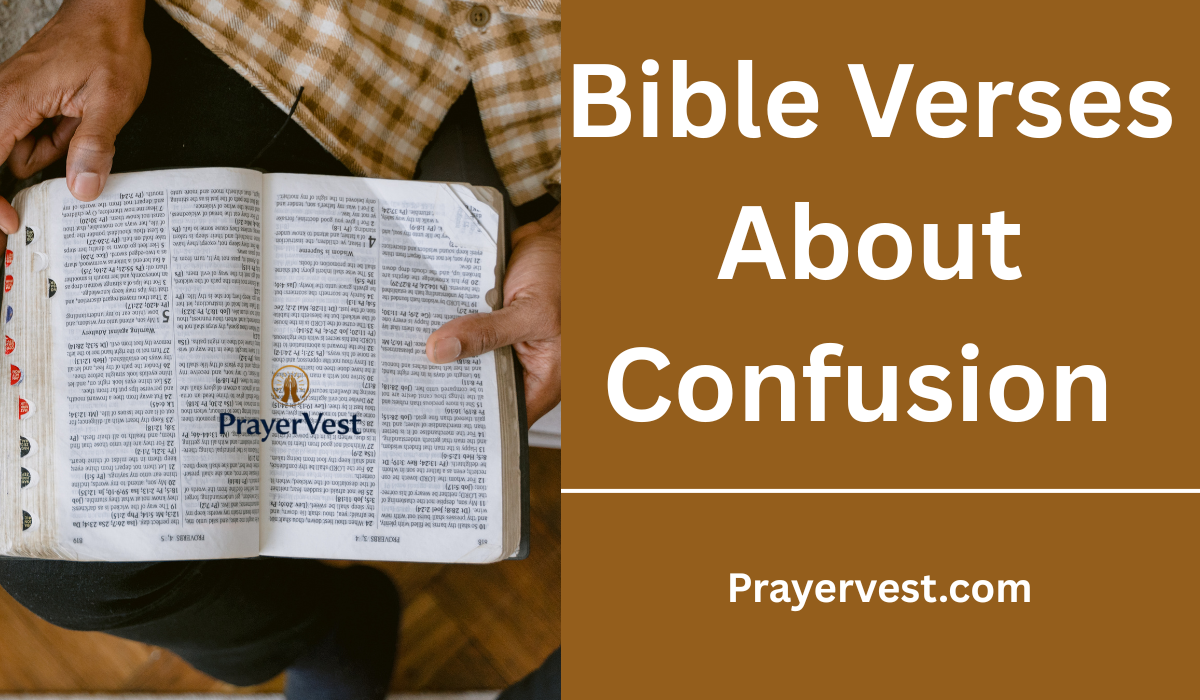 Bible Verses About Confusion 