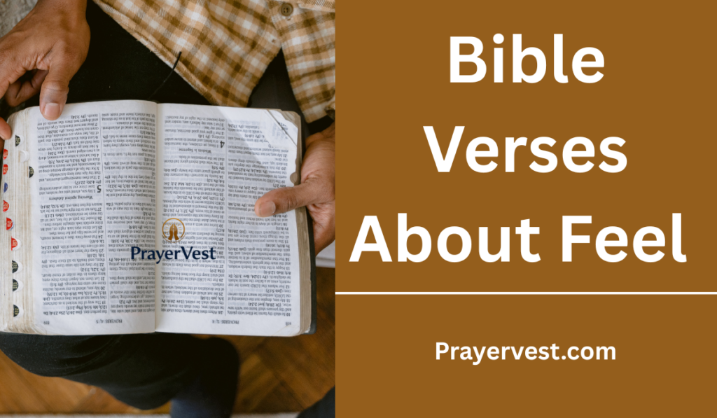 40 Inspiring Bible Verses About Feel (2026) - PrayerVest