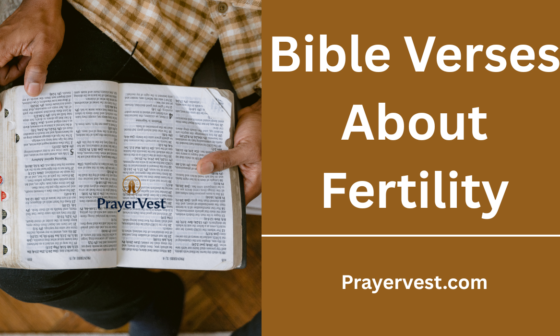 Bible Verses About Fertility