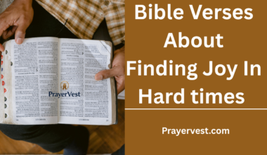 Bible Verses About Finding Joy In Hard times