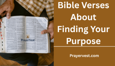 Bible Verses About Finding Your Purpose