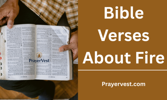 Bible Verses About Fire