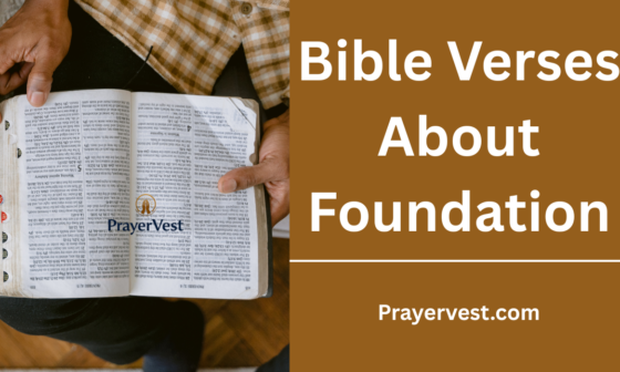 Bible Verses About Foundation