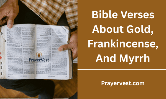 Bible Verses About Gold, Frankincense And Myrrh