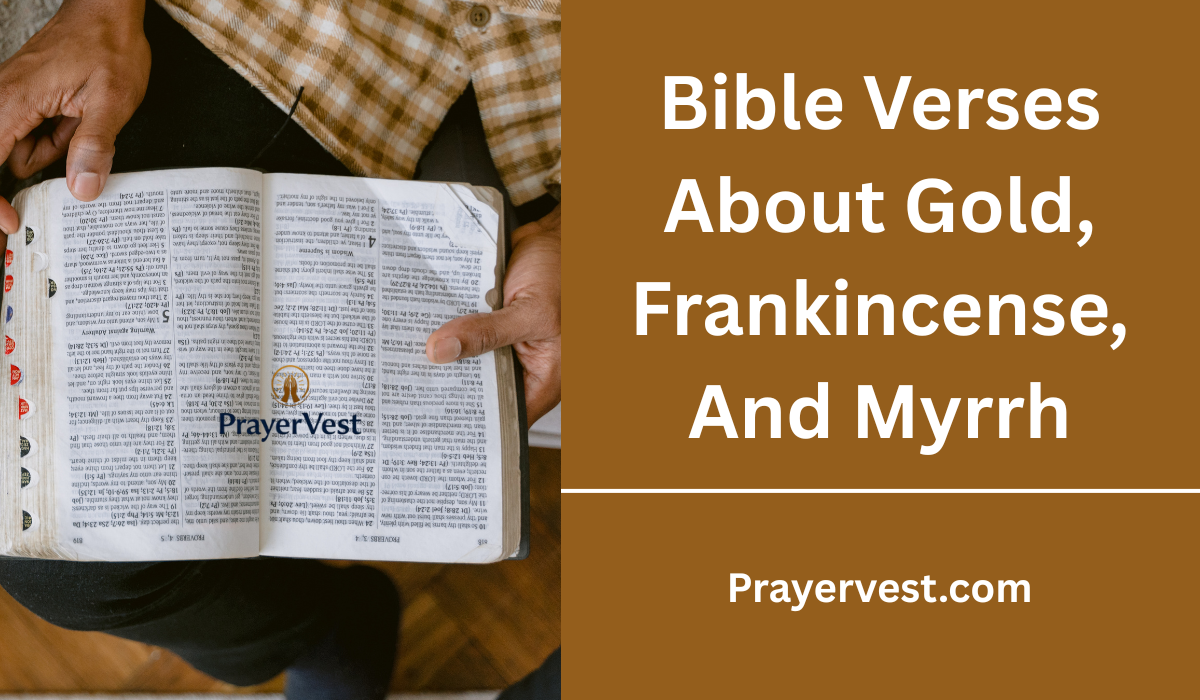 Bible Verses About Gold, Frankincense And Myrrh