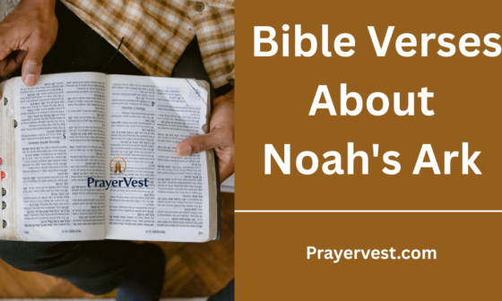 Bible Verses About Noah's Ark